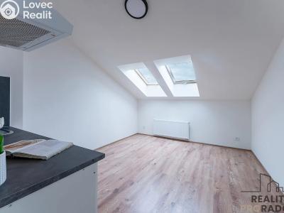 Rent apartment 1+KK Praha, Na břevnovské pláni č. 2