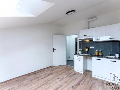 Rent apartment 1+KK Praha, Na břevnovské pláni č. 3