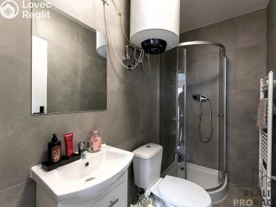 Rent apartment 1+KK Praha, Na břevnovské pláni č. 5
