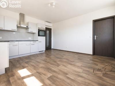 Оренда квартири 3+1 Prostějov, Domamyslická č. 4