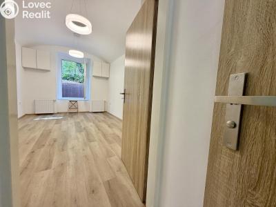 Rent apartment 1+1 Praha, Hartigova č. 6