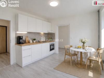 Аренда квартиры 1+1 Ústí nad Labem, Purkyňova č. 1