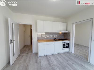 Аренда квартиры 1+1 Ústí nad Labem, Purkyňova č. 5
