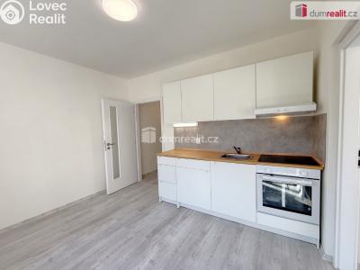 Аренда квартиры 1+1 Ústí nad Labem, Purkyňova č. 6
