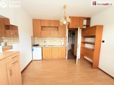 Аренда квартиры 1+KK Ústí nad Labem, Tolstého č. 3