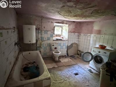 Продажа семейного дома Nová Ves č. 8