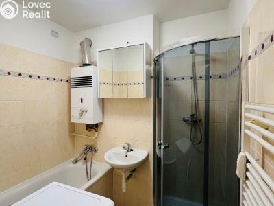 Аренда квартиры 1+1 Frýdek-Místek, Lidická č. 3