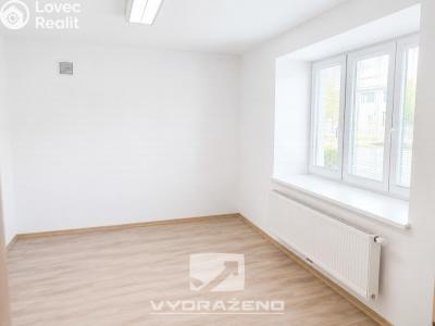 Продажа семейного дома Skaštice č. 7