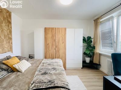 Sale apartment 2+1 Ostrava, Horní č. 2