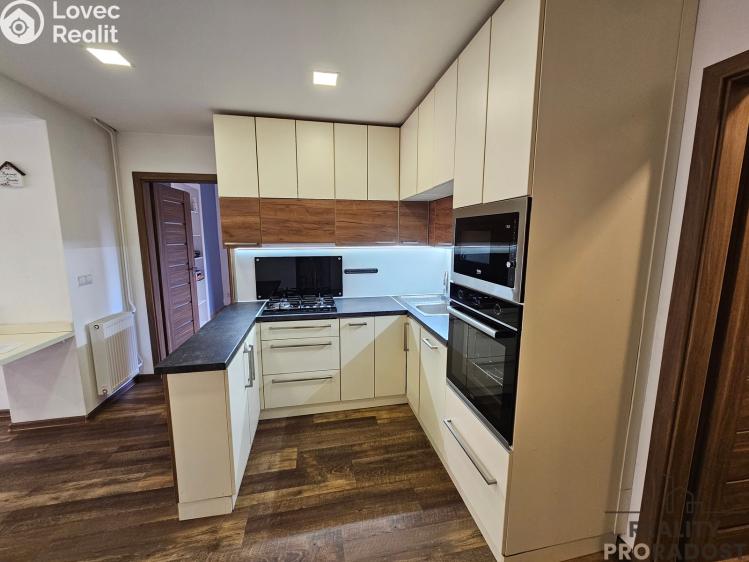 Rent apartment 3+KK Dubňany, Hornická č. 3