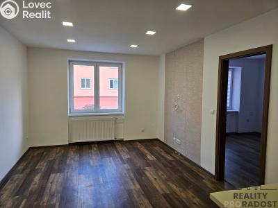Аренда квартиры 3+KK Dubňany, Hornická č. 4