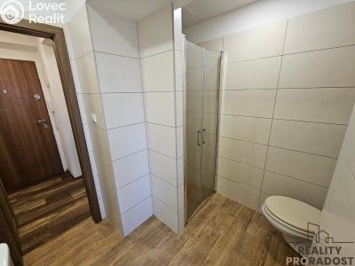 Аренда квартиры 3+KK Dubňany, Hornická č. 9