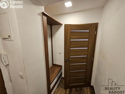 Аренда квартиры 3+KK Dubňany, Hornická č. 12