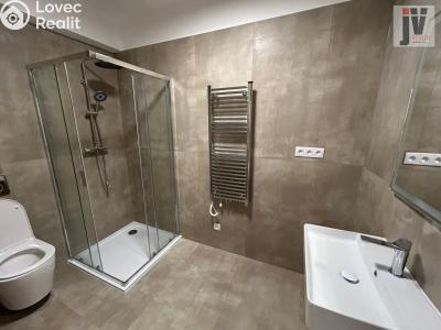Аренда квартиры 2+1 Šťáhlavy, Dr. Holuba 111 č. 5