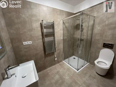 Аренда квартиры 2+1 Šťáhlavy, Dr. Holuba 111 č. 12