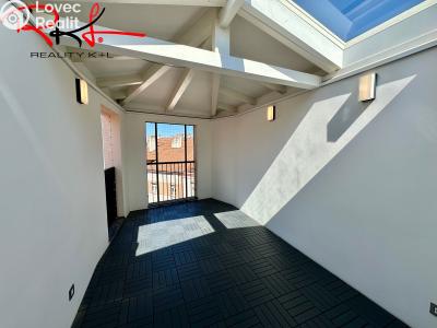 Аренда квартиры 6 и больше Praha, Ovenecká č. 23