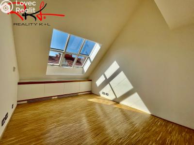 Rent apartment 6 and more Praha, Ovenecká č. 11