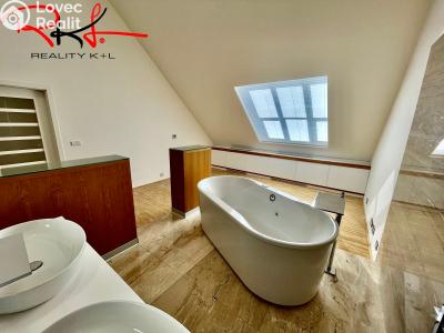 Rent apartment 6 and more Praha, Ovenecká č. 13