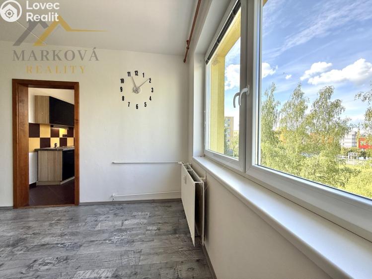 Rent apartment 3+1 Týn nad Vltavou, Hlinecká 725 č. 4