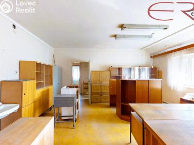 Продажа многоквартирного дома Frýdlant, ČSA č. 17