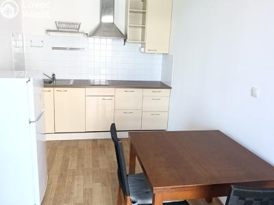Pronájem bytu 1+KK Praha, Freiwaldova č. 6