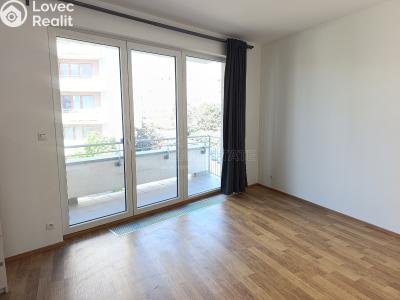 Pronájem bytu 1+KK Praha, Freiwaldova č. 8