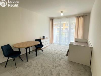 Pronájem bytu 1+KK Praha 9, Vysočany, Gerstelova č. 6