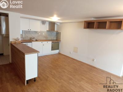 Оренда квартири 1+KK Praha, Lumiérů č. 11