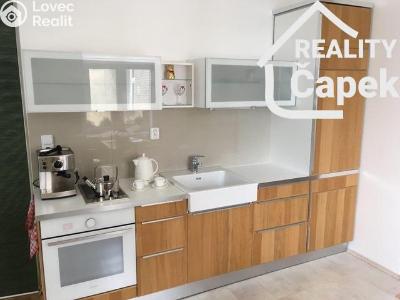 Оренда квартири 1+1 Ostrava, Puchmajerova č. 1