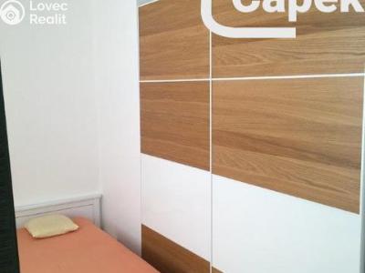 Оренда квартири 1+1 Ostrava, Puchmajerova č. 11