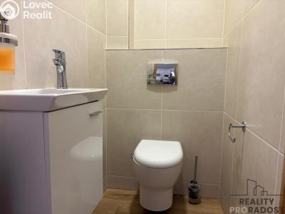 Продаж сімейного будинку Horní Domaslavice č. 19