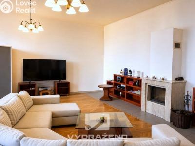 Продаж багатогенного будинку Dolní Kounice č. 6