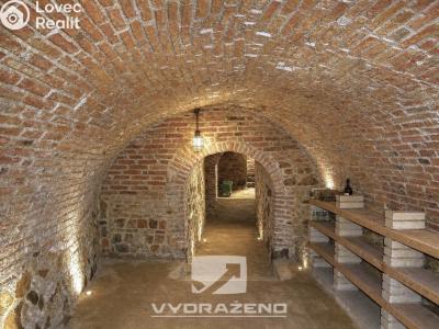Продаж багатогенного будинку Dolní Kounice č. 13