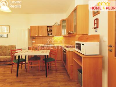 Rent apartment 1+KK Bystřice, Nová č. 5