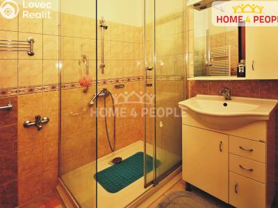 Rent apartment 1+KK Bystřice, Nová č. 6
