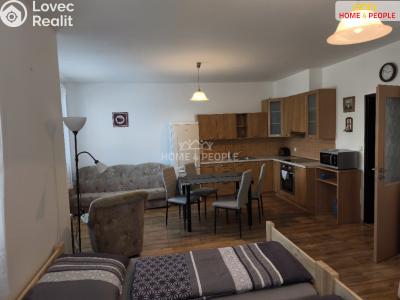 Rent apartment 1+KK Bystřice, Nová č. 10