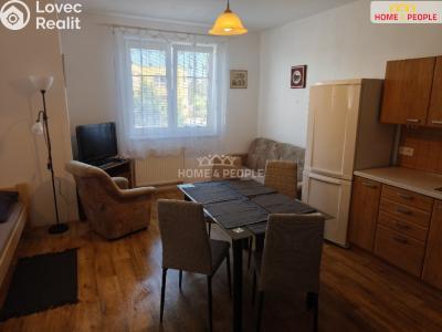 Rent apartment 1+KK Bystřice, Nová č. 11