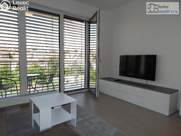 Rent apartment 1+KK Brno, Střední č. 1