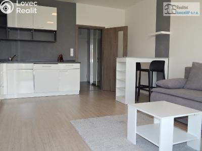 Rent apartment 1+KK Brno, Střední č. 4