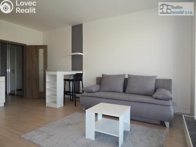 Rent apartment 1+KK Brno, Střední č. 9