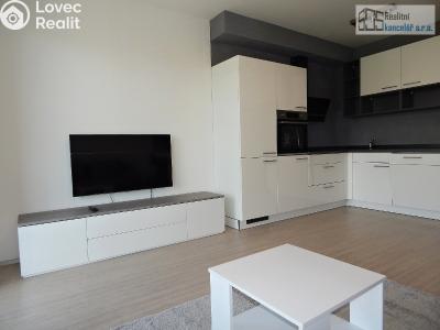 Rent apartment 1+KK Brno, Střední č. 10