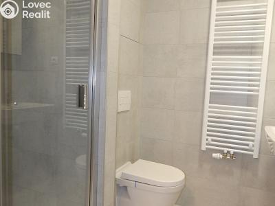 Rent apartment 1+KK Brno, Střední č. 14
