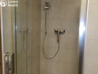 Rent apartment 1+KK Brno, Střední č. 15