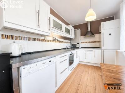 Sale apartment 3+1 Havířov, Karvinská č. 3