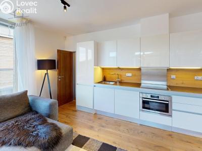 Продажа квартиры 3+KK Harrachov č. 9