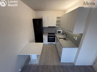 Sale apartment 2+KK Most, M. J. Husa č. 1