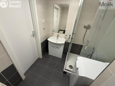 Sale apartment 2+KK Most, M. J. Husa č. 9