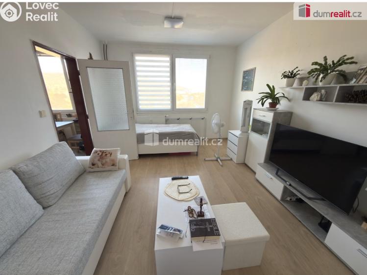 Rent apartment 1+1 Chlumec, Hrbovická č. 1