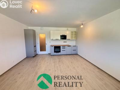 Rent apartment 1+KK Chlumec nad Cidlinou, Rooseveltova č. 2