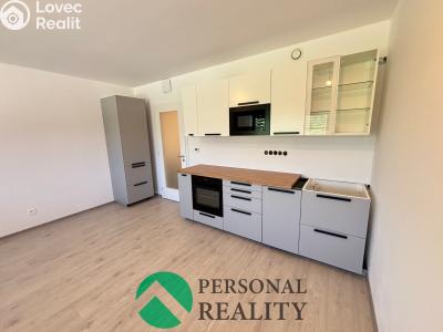 Rent apartment 1+KK Chlumec nad Cidlinou, Rooseveltova č. 4